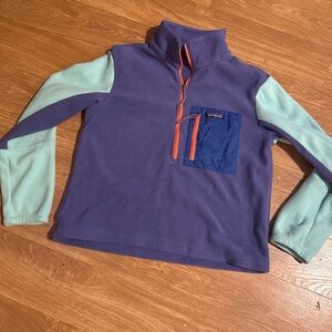 Patagonia Purple and Blue Fleece